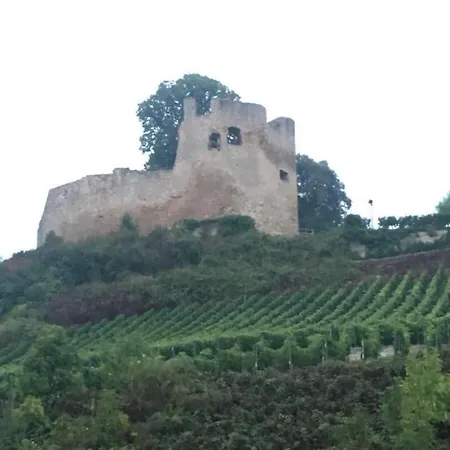 Kapellennest Europapark In Ca 15 Min Erreichbar Kenzingen