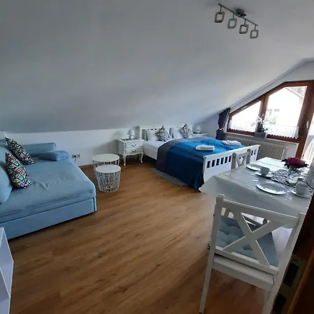 Kapellennest Europapark In Ca 15 Min Erreichbar