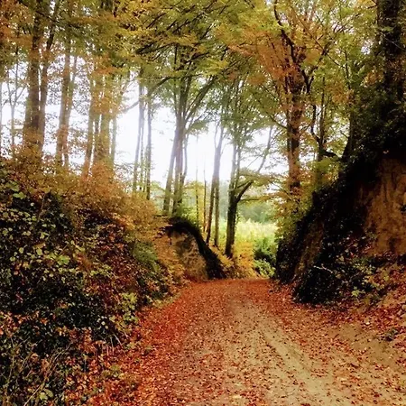 Kapellennest Europapark In Ca 15 Min Erreichbar Daire *
