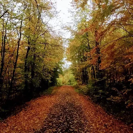 Kapellennest Europapark In Ca 15 Min Erreichbar *