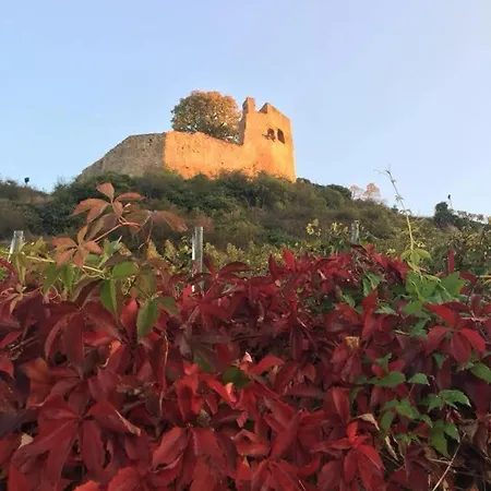 Kapellennest Europapark In Ca 15 Min Erreichbar