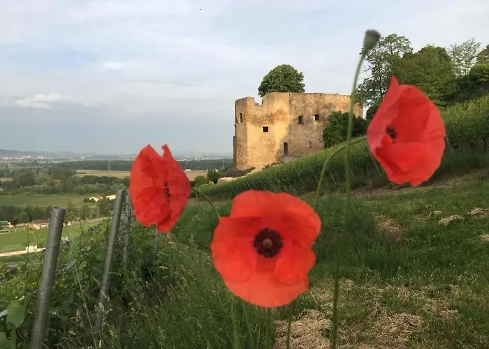 Kapellennest Europapark In Ca 15 Min Erreichbar Kenzingen