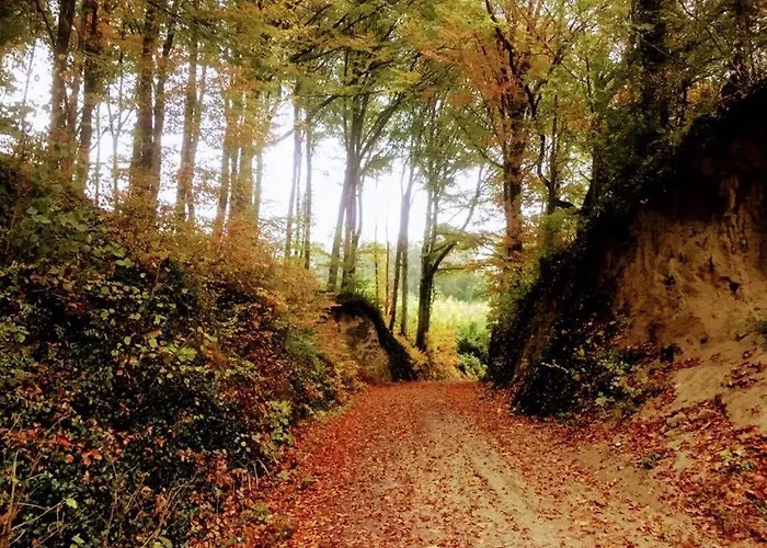 Kapellennest Europapark In Ca 15 Min Erreichbar Appartamento *