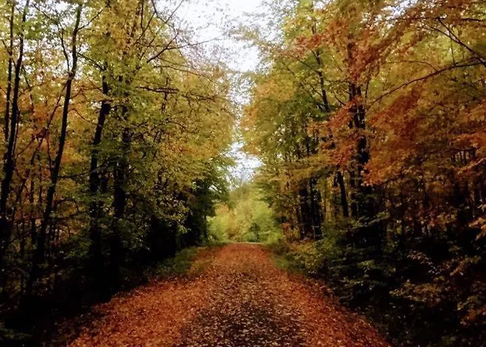 Kapellennest Europapark In Ca 15 Min Erreichbar *