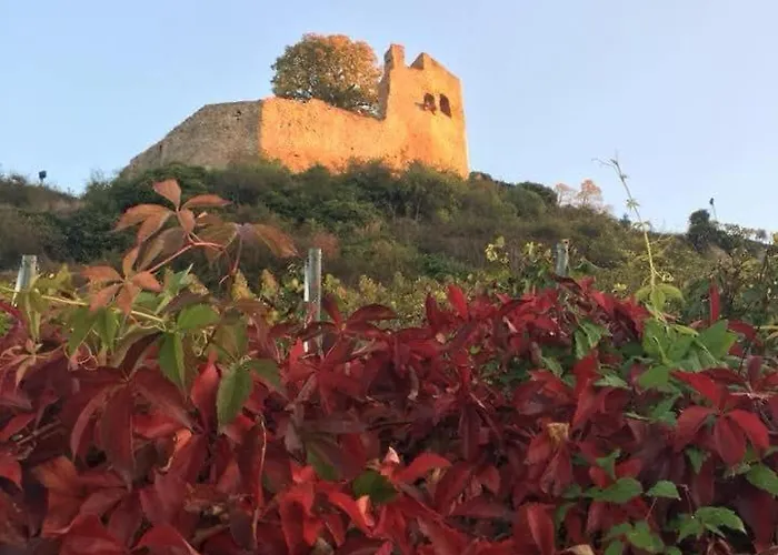 Kapellennest Europapark In Ca 15 Min Erreichbar